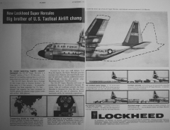 big-brother-GL207.jpg