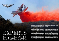 coulson-airtanker.jpg