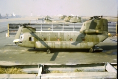 Looking down the row