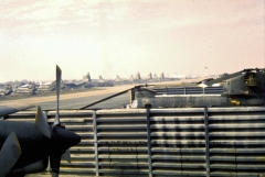 Sure are alot that don't fly