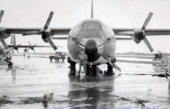 Short & 015 Athens.jpg